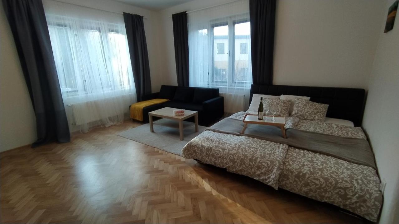 Vila Sik Нове Место на Мораве Екстериор снимка